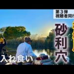 相模川の砂利穴でへらぶな釣り！両グルテン底釣りで入れ食い【神奈川県】