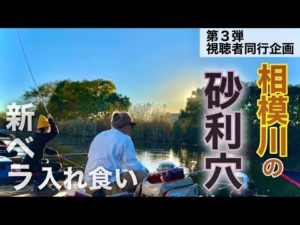 相模川の砂利穴でへらぶな釣り！両グルテン底釣りで入れ食い【神奈川県】