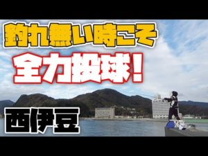 【紀州釣り】前回良い釣りが出来た西伊豆で、黒鯛目指して全力投球してきました！【黒鯛釣り】【釣武者】