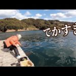 【メガ級の魚】真剣に釣りをしたら太いの出てきてマジびびる！！！