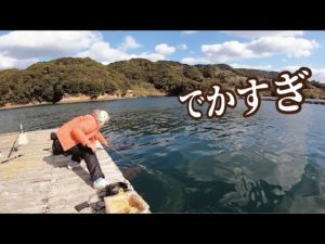 【メガ級の魚】真剣に釣りをしたら太いの出てきてマジびびる！！！