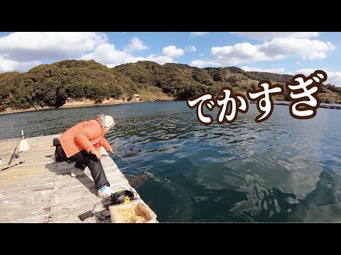 【メガ級の魚】真剣に釣りをしたら太いの出てきてマジびびる！！！