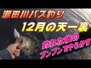 【瀬田川バス釣り】12月の天一裏で釣れた！そしてブンブンでやらかした。。。