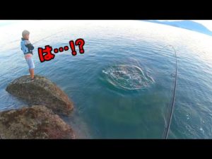 予想外の大物が飛びつき襲いかかる光景に子供もビビる！