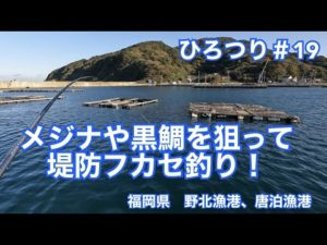 【堤防釣り】ひろつり＃19 メジナや黒鯛を狙って堤防フカセ釣り！　福岡県　野北漁港、唐泊漁港