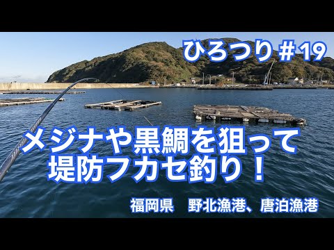 【堤防釣り】ひろつり＃19 メジナや黒鯛を狙って堤防フカセ釣り！　福岡県　野北漁港、唐泊漁港