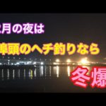 12月の夜は埠頭のヘチ釣りなら冬爆 四日市