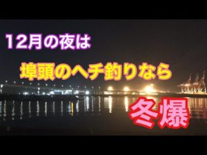 12月の夜は埠頭のヘチ釣りなら冬爆 四日市