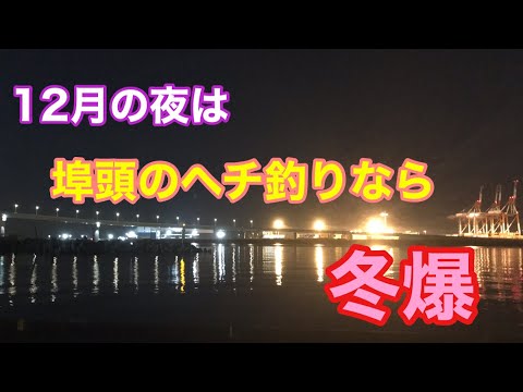 12月の夜は埠頭のヘチ釣りなら冬爆 四日市