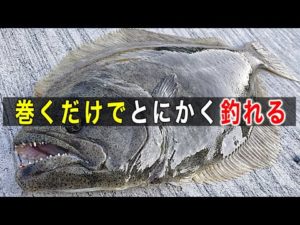 ルアーで釣果をグンと上げる為に覚えるべき釣り方【初心者必見】サーフや堤防で是非お試し下さい