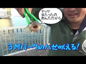 【３Mパーク釣り】ヤッケプレゼントが決まる！