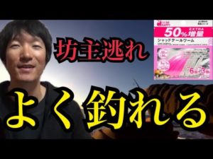 遠州灘サーフでよく釣れる鯉のぼりダイソーワーム使ってみた。