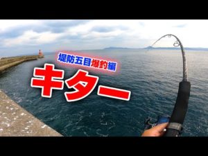 初めての試み‼メンバー全員ひとつの堤防で爆釣しまくった‼