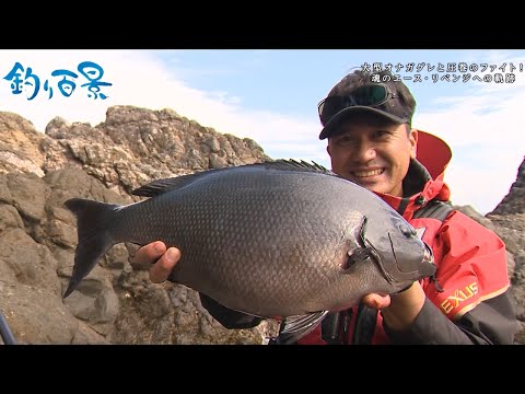 【釣り百景】#465 大型オナガグレと圧巻のファイト！ 魂のエース・リベンジへの軌跡