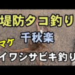 タコ釣り&イワシ釣り