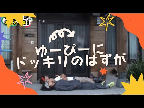 【釣りよか】7年前にお蔵入り予定だった動画が実はめちゃくちゃ面白かった〜みんな仲良し〜【切り抜き】