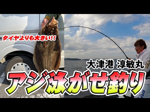 【大津港】船上中大物連発！？アジ泳がせ釣り！！【BACH淳敏丸】
