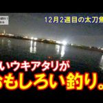 渋いアタリが面白い。冬の和歌山で太刀魚釣り。12月2週目のタチウオ釣り。
