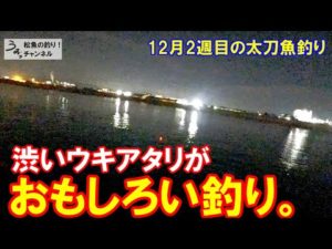 渋いアタリが面白い。冬の和歌山で太刀魚釣り。12月2週目のタチウオ釣り。