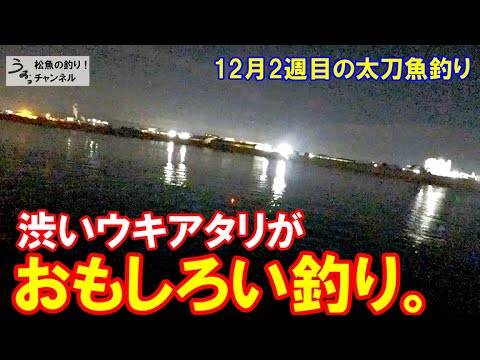 渋いアタリが面白い。冬の和歌山で太刀魚釣り。12月2週目のタチウオ釣り。