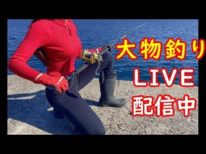 【爆釣】大物釣りライブ配信で爆釣しました‼️