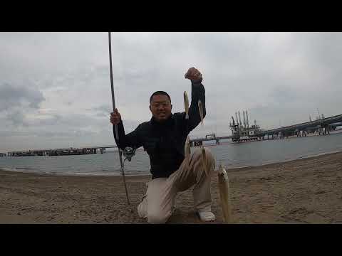 シーズン終盤のキス釣りを一日中楽しむ♪