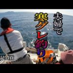 グレ釣りは、おもしろい！今回も寒グレ狙います！