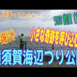 釣り動画ロマンを求めて 508釣目（後編：横須賀海辺つり公園）