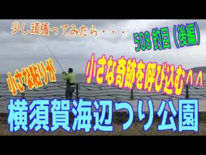 釣り動画ロマンを求めて 508釣目（後編：横須賀海辺つり公園）