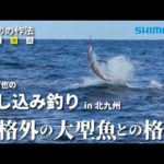 船釣りの作法＃16～釣技食技～　九州-北九州の落し込み×高橋哲也【ビーストマスター2000、アルシエラ落し込み】【まさかのカジキ】