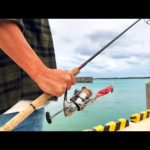 また釣ってしまった