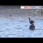 藤前干潟で釣りゴミの清掃活動　40人が袋130個分を回収　名古屋市・飛島村