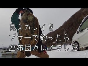 【これ釣れました】狙え！夢の座布団カレイ 北海道【釣り百景】50アップババガレイ　アイナメ　北海道・函館