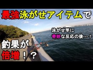 【神奈川県某所】最強泳がせアイテムで釣果が倍増！？冬の12月上旬、関東地方の東京湾側に面している釣り場で、泳がせ釣り用の新商品のテスト釣行をしていたら泳がせ竿に奇妙な反応が…！【2022.12.07】