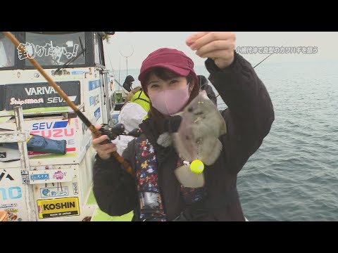 釣りたいっ！　#200三浦沖のカワハギ