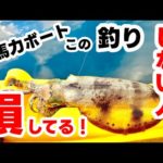 ボート釣り師必見！エギングよりも簡単にデカイカが釣れる！ティップランという釣り方