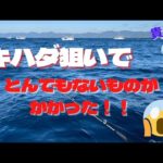 【驚愕】キハダマグロ釣りでとんでもないものがかかりました😲