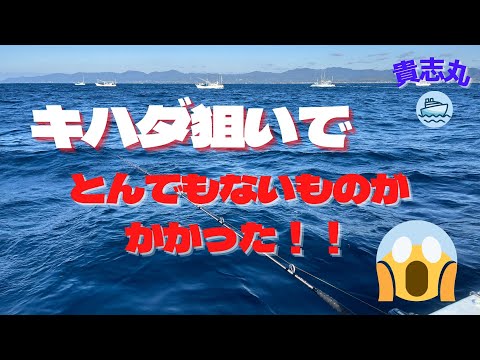 【驚愕】キハダマグロ釣りでとんでもないものがかかりました😲