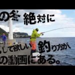 堤防際の大物狙いはこの釣りがマジでオススメ！ルアータックルでできる本格堤防エサ釣り
