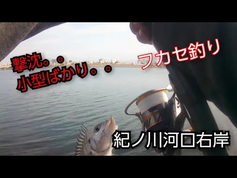 【紀ノ川河口右岸】フカセ釣り(20221216)