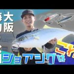 【ショアジギング】海釣り公園でねらう大型青物 in大阪 【つり人チャンネル】