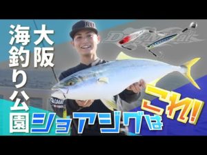 【ショアジギング】海釣り公園でねらう大型青物 in大阪 【つり人チャンネル】