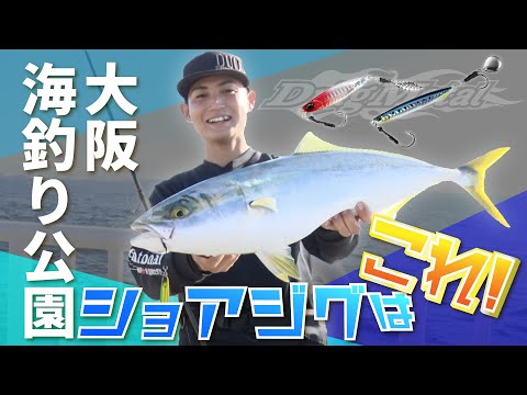 【ショアジギング】海釣り公園でねらう大型青物 in大阪 【つり人チャンネル】