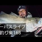 シーバスライブ【釣り楽168】