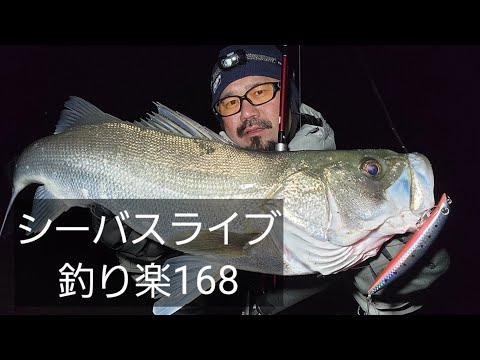 シーバスライブ【釣り楽168】