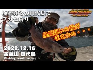 田代島釣行！後半戦突入！フカセ釣りで黒鯛狙いの筈がまさかの・・・・