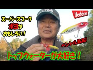 【ヒロ内藤流バス釣り】使って楽しいスーパースプーク・ボヨ！【へドン社トップウォーター】