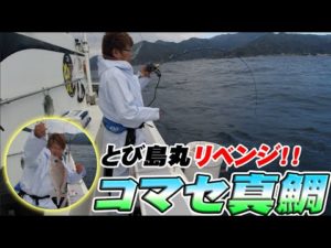 【コマセ真鯛】新竿で挑戦したコマセ真鯛釣りの結果に納得いかないのでリベンジします！【とび島丸】