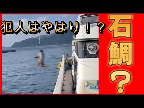 晩秋の下五島、福江島のイシダイ釣り