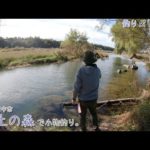 東京都府中市 多摩川「郷土の森」で小物釣り。広い多摩川の中でも郷土の森公園近くは雰囲気最高です！
